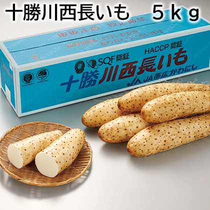 十勝川西長いも 5ｋｇ 送料込み