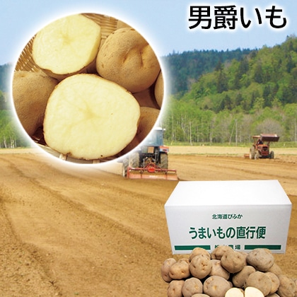 男爵いも 送料込み