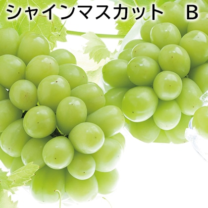 シャインマスカット Ｂ 送料込み