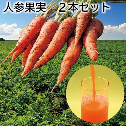 人参果実 2本セット 送料込み