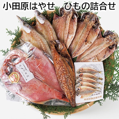 小田原はやせ ひもの詰合せ 送料込み