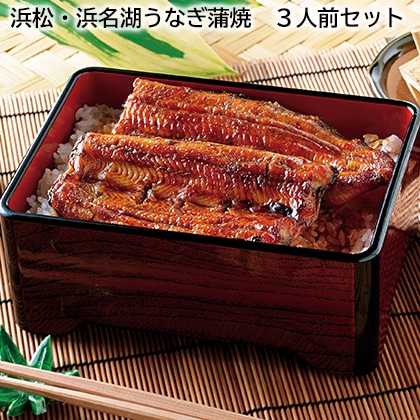浜松・浜名湖うなぎ蒲焼 3人前セット 送料込み