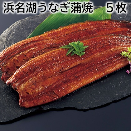 浜名湖うなぎ蒲焼 5枚 送料込み
