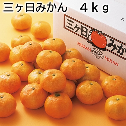 三ヶ日みかん 4ｋｇ 送料込み