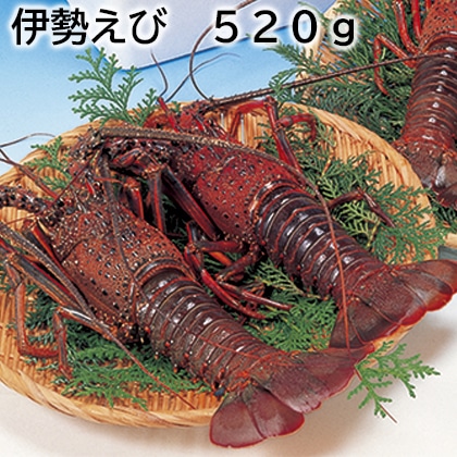 伊勢えび 520g 送料込み
