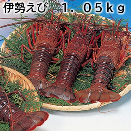 伊勢えび 1.05kg 送料込み