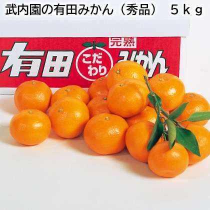 武内園の有田みかん(秀品) 5kg 送料込み