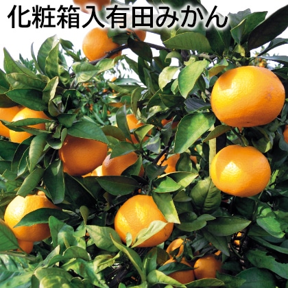 化粧箱入有田みかん 送料込み