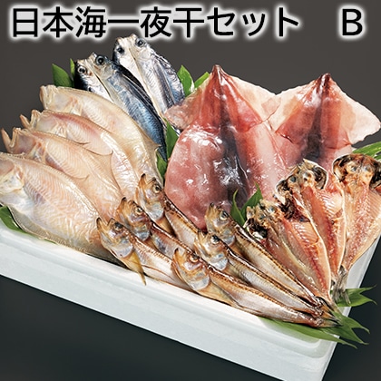 日本海一夜干セット Ｂ 送料込み