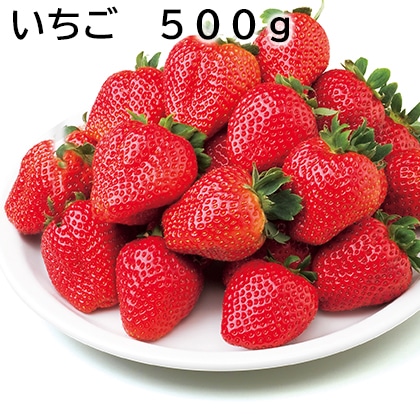 いちご 500ｇ 送料込み