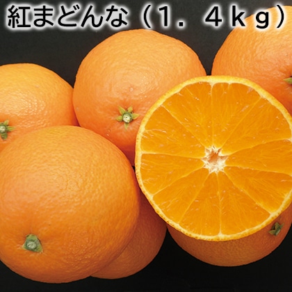 紅まどんな（1．4ｋｇ） 送料込み