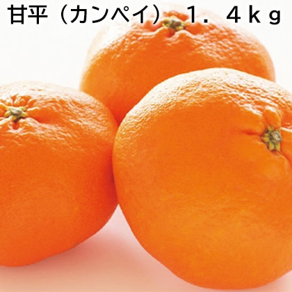 甘平（カンペイ） 1．4ｋｇ 送料込み