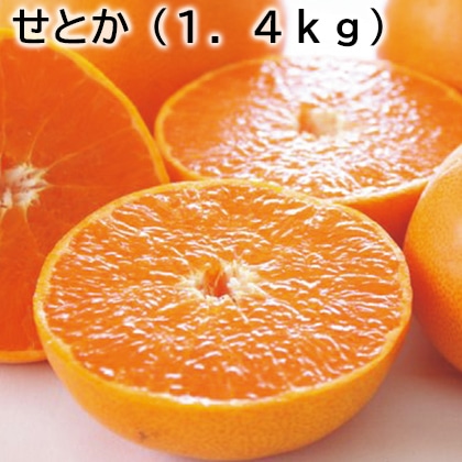 せとか（1．4ｋｇ） 送料込み