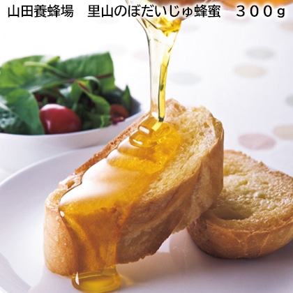 山田養蜂場 里山のぼだいじゅ蜂蜜 300g 送料込み