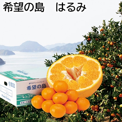 希望の島 はるみ 送料込み