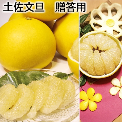 土佐文旦 贈答用 送料込み