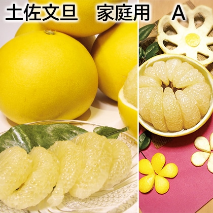 土佐文旦 家庭用 Ａ 送料込み