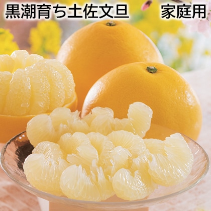 黒潮育ち土佐文旦  家庭用 送料込み