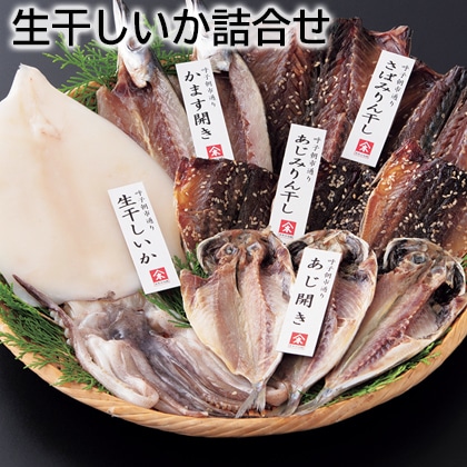 生干しいか詰合せ 送料込み