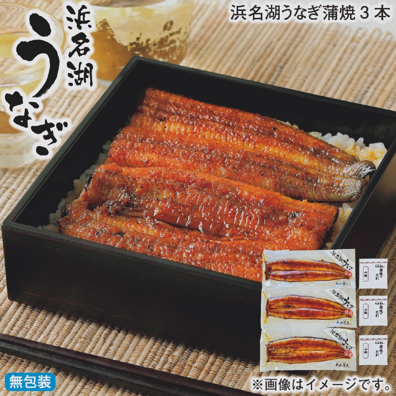 お歳暮 浜名湖うなぎ蒲焼3本 冬ギフト 送料込み