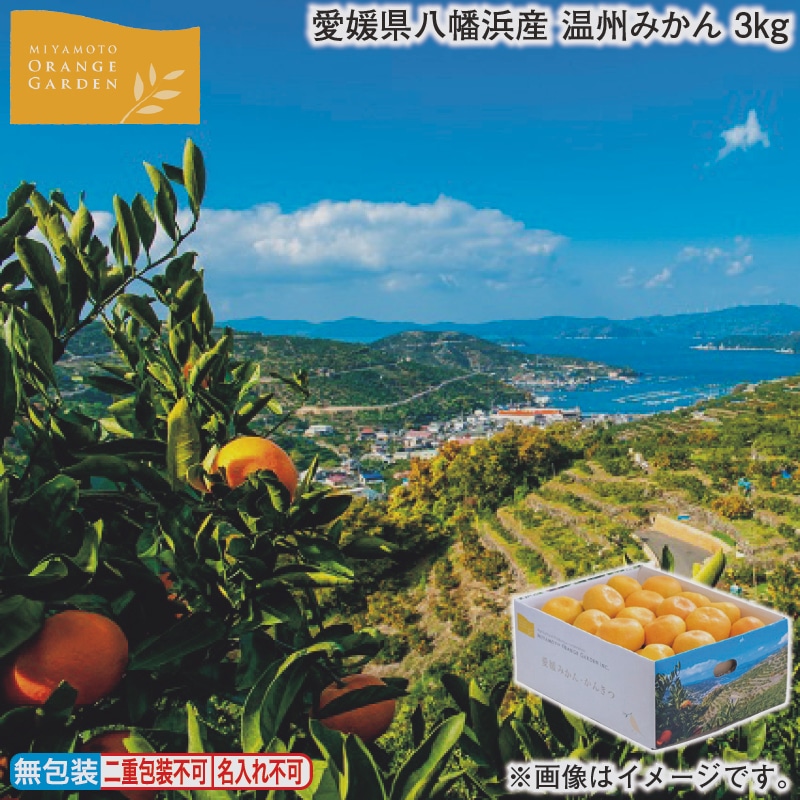 お歳暮 愛媛県八幡浜産 温州みかん 3ｋｇ 冬ギフト 送料込み