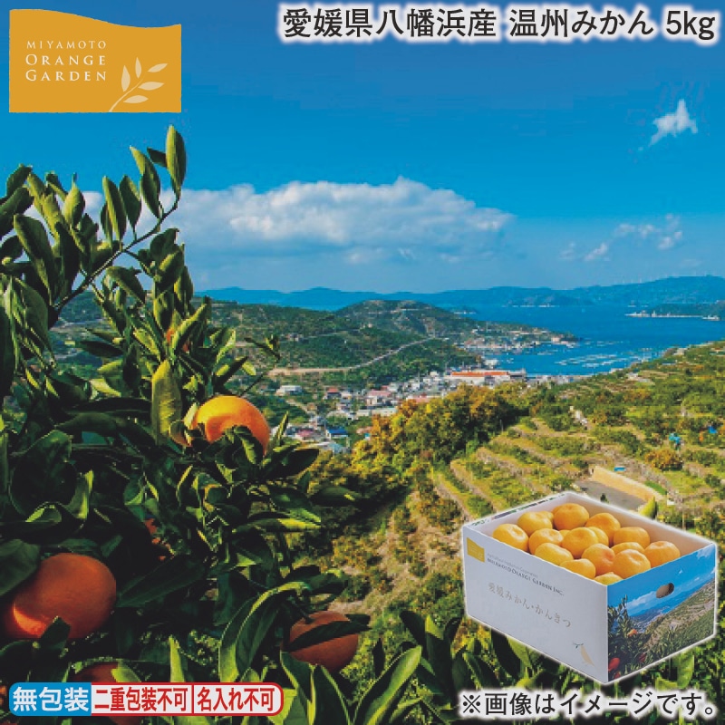 お歳暮 愛媛県八幡浜産 温州みかん 5ｋｇ 冬ギフト 送料込み