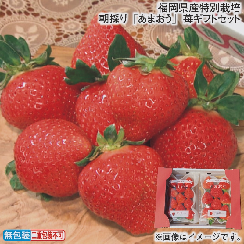 お歳暮 福岡県産特別栽培 朝採り「あまおう」苺ギフトセット 冬ギフト 送料込み