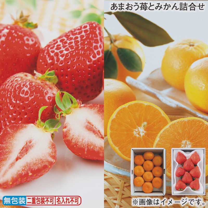 お歳暮 あまおう苺とみかん詰合せ 冬ギフト 送料込み