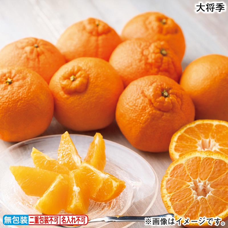 お歳暮 大将季 冬ギフト 送料込み