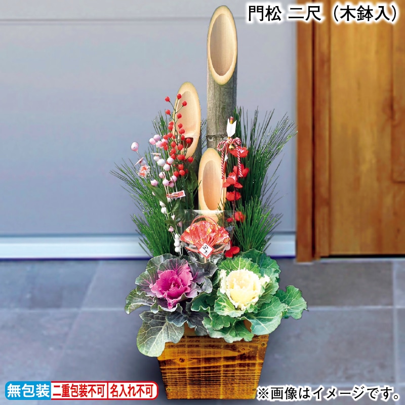 お歳暮 門松 二尺（木鉢入） 冬ギフト 送料込み