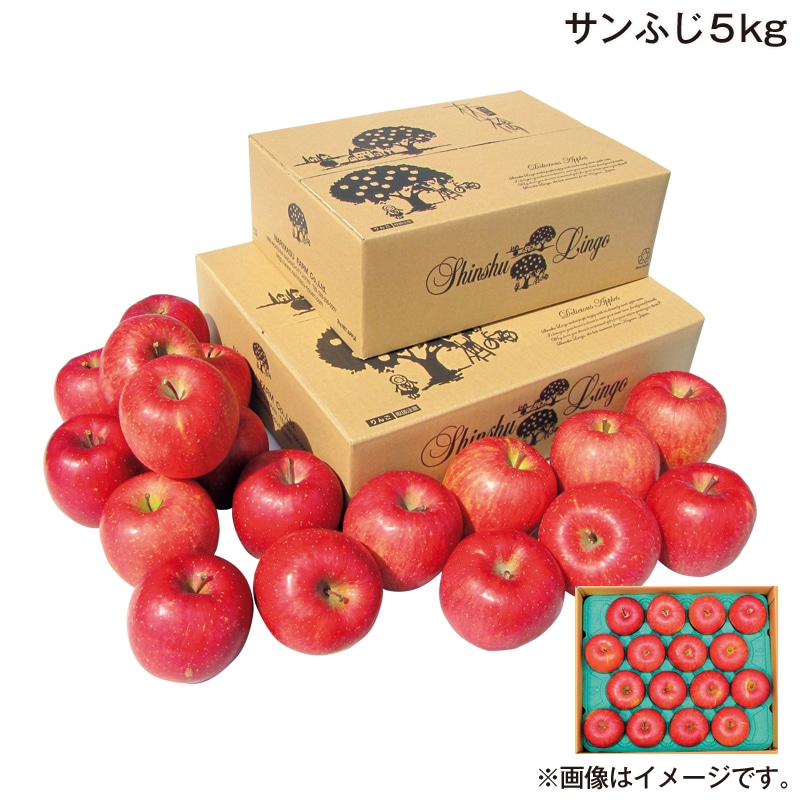 お歳暮 サンふじ 5ｋｇ 送料込み
