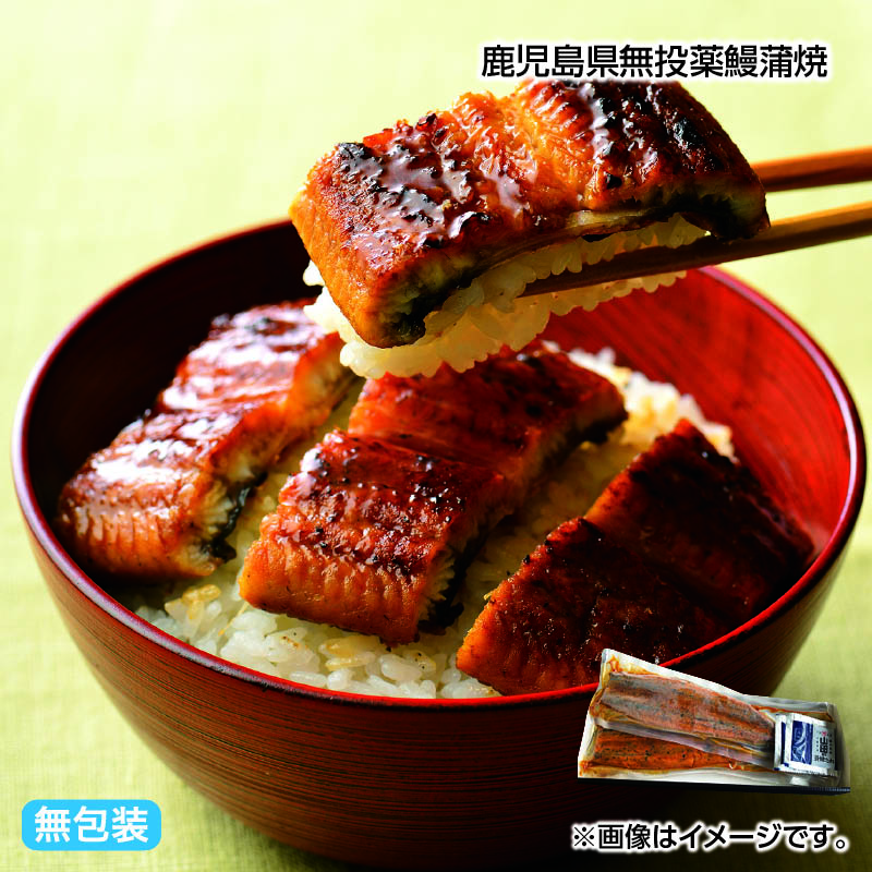 お歳暮 鹿児島県無投薬鰻蒲焼 送料込み