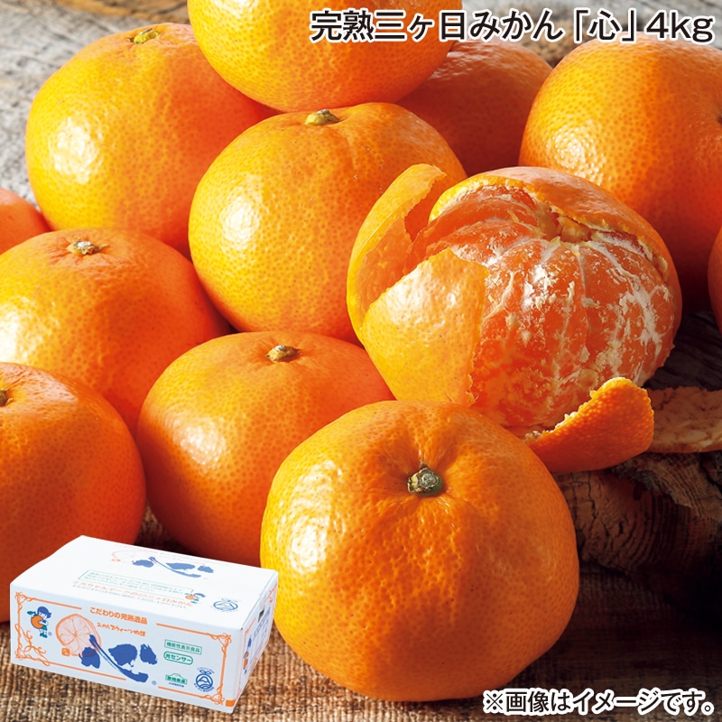 お歳暮 完熟三ヶ日みかん「心」4ｋｇ 送料込み