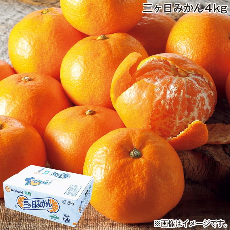 お歳暮 三ヶ日みかん 4ｋｇ 送料込み