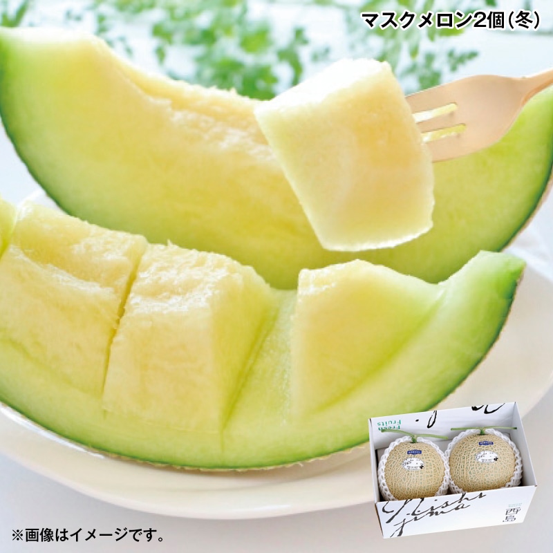 お歳暮 マスクメロン2個（冬） 送料込み