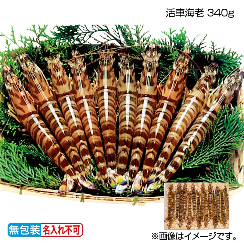 お歳暮 活車海老 340ｇ 送料込み