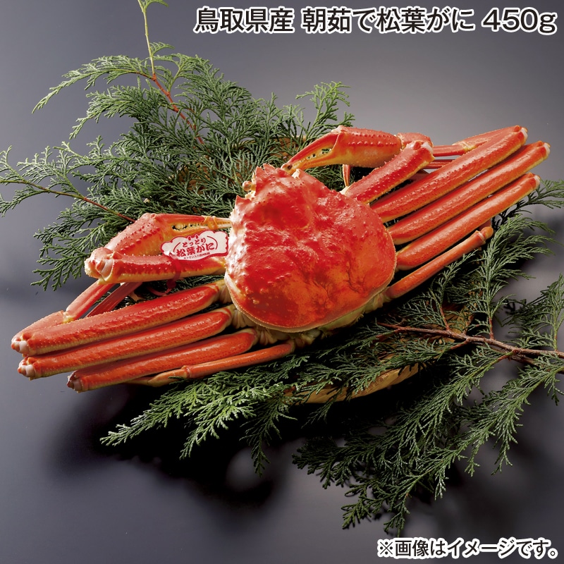 お歳暮 鳥取県産 朝茹で松葉がに 450ｇ 送料込み