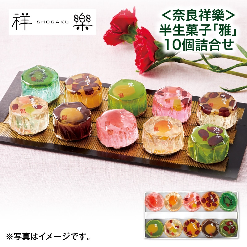 母の日  ＜奈良祥樂＞半生菓子「雅」10個詰合せ 送料込み