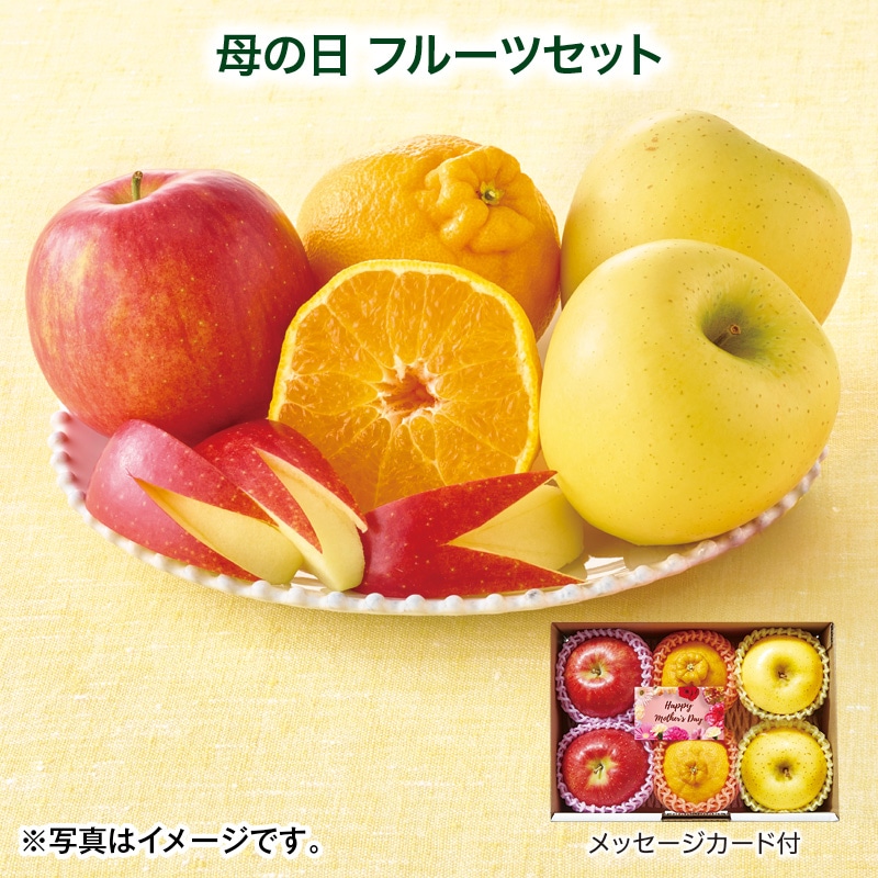 母の日  母の日 フルーツセット 送料込み