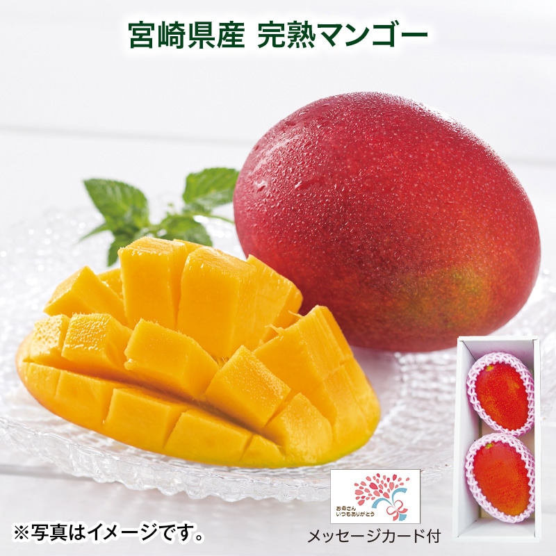 母の日  宮崎県産 完熟マンゴー 送料込み