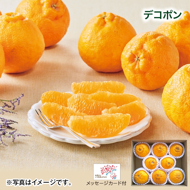 母の日  デコポン 送料込み