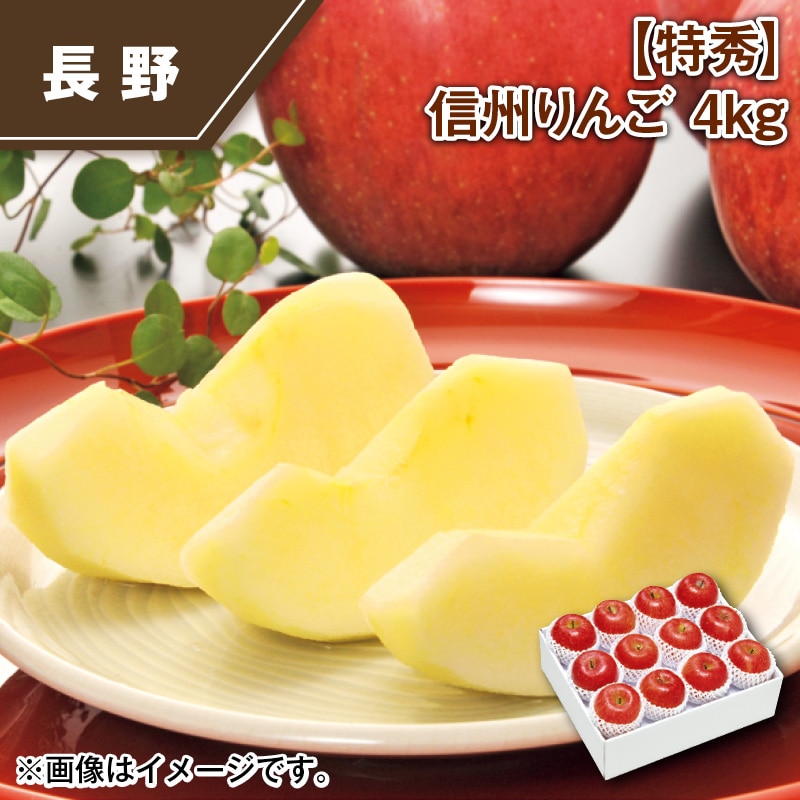 【特秀】信州りんご 4ｋｇ 送料込み