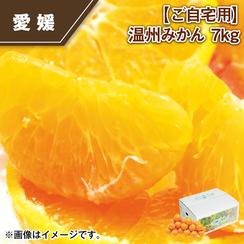 【ご自宅用】温州みかん 7ｋｇ 送料込み