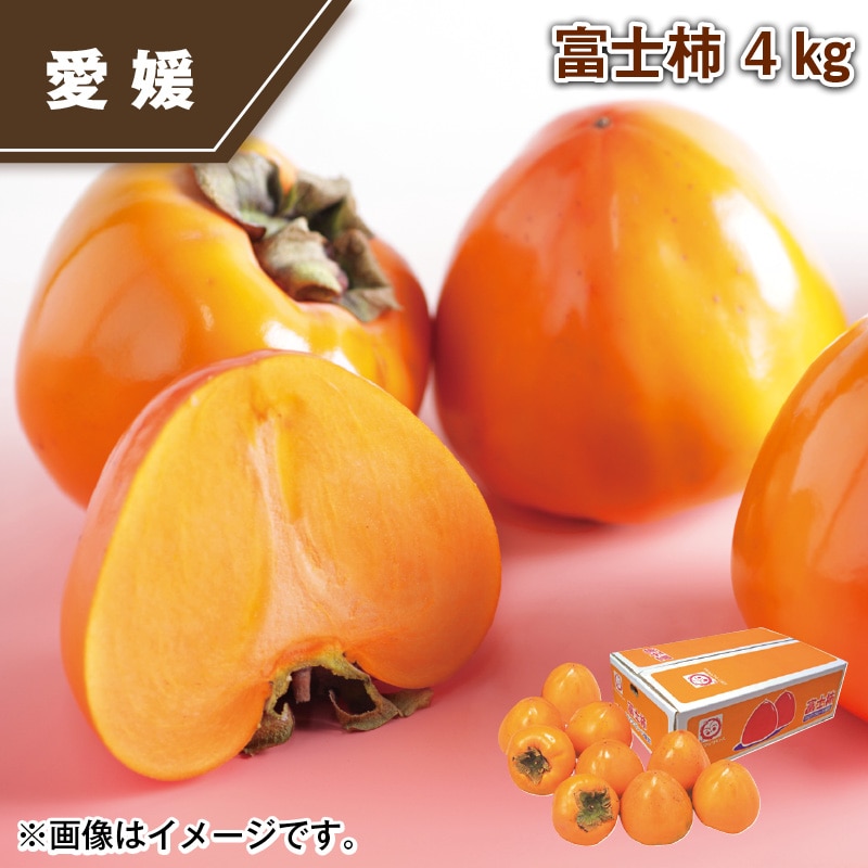 富士柿 4ｋｇ 送料込み