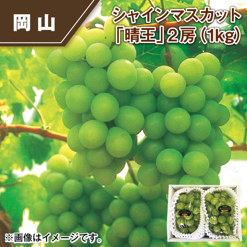 シャインマスカット「晴王」2房（1ｋｇ） 送料込み