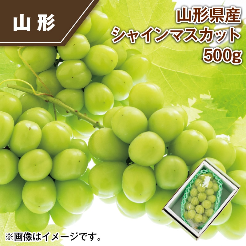 山形県産 シャインマスカット500ｇ 送料込み