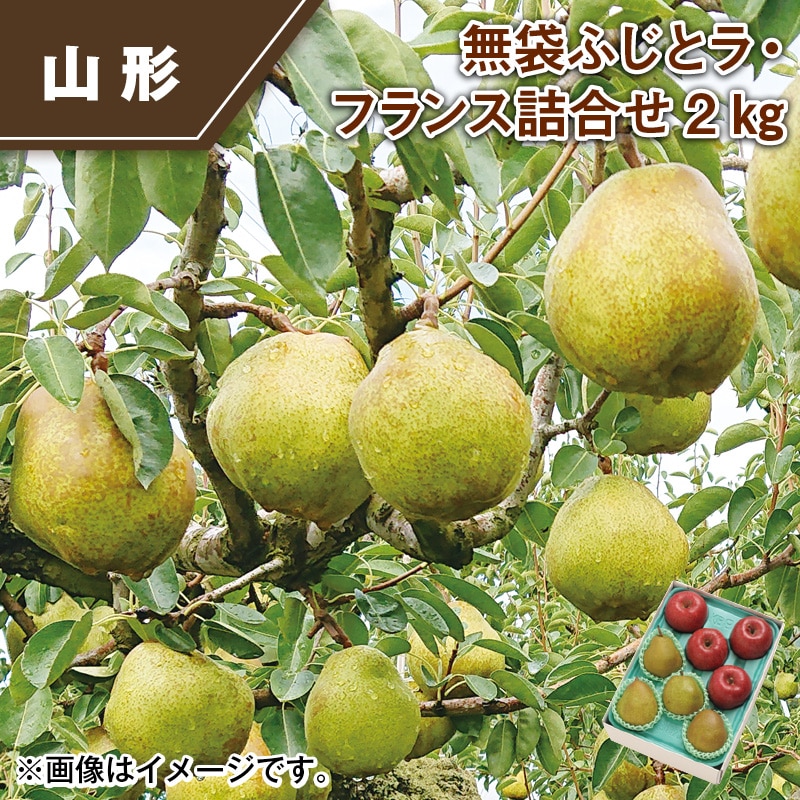 無袋ふじとラ・フランス詰合せ2ｋｇ 送料込み