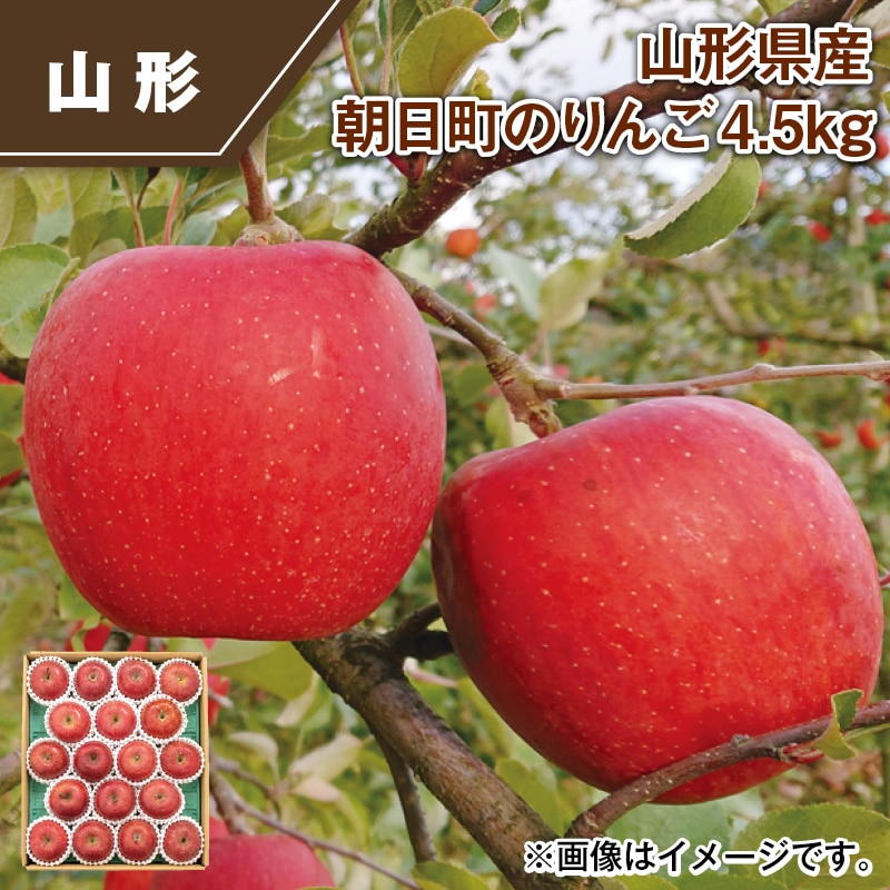 山形県産 朝日町のりんご4．5ｋｇ 送料込み