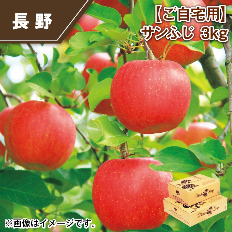 【ご自宅用】サンふじ3ｋｇ 送料込み