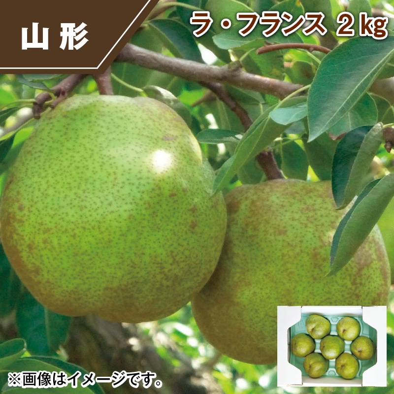 ラ・フランス 2ｋｇ 送料込み